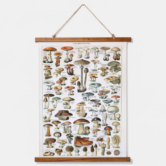 Vintages Mushroom-Auswahlfeld Wandteppich Mit Holzrahmen (Vorderseite)