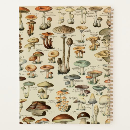 Vintages Mushroom Custom Monogram Planer (Rückseite)