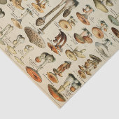 Vintages Mushroom-Dekoupage-Tissue Paper Seidenpapier (Ausschnitt)