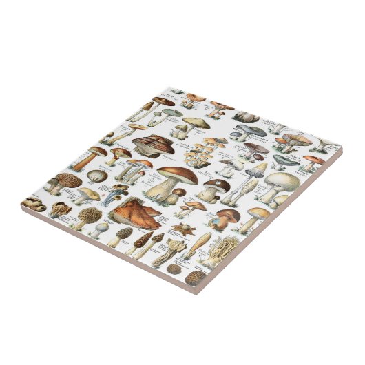 Vintages Mushroom Muster Fliese (Seite)