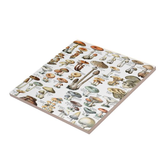 Vintages Mushroom Muster Fliese (Seite)