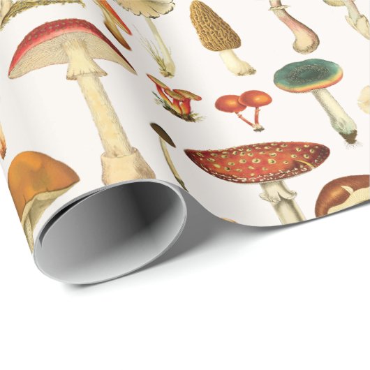 Vintages Mushroom Muster Geschenkpapier (Rolleneckpunkt)