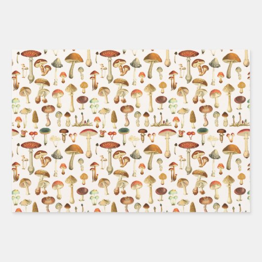 Vintages Mushroom Muster Geschenkpapier Set (Vorderseite 3)