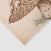 Vintages Mushroom-Papier Seidenpapier (Ausschnitt)