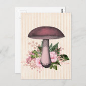 Vintages Mushroom und Blumenkompilation Postkarte (Vorne/Hinten)
