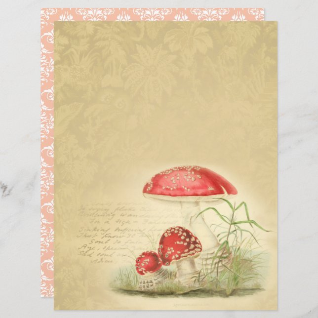 Vintages Mushrooms Scrapbook Paper - Marple Hall (Vorne/Hinten)