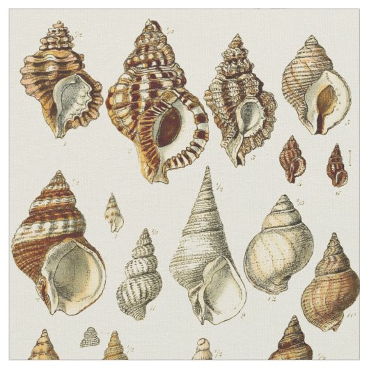 Vintages Muster für Seashell-Illustrationen Stoff (Nahaufnahme)