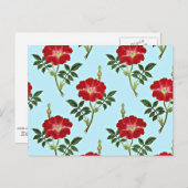 Vintages Muster Postkarte (Vorne/Hinten)