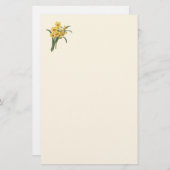 Vintages Narzissen-Briefpapier Briefpapier (Vorne/Hinten)