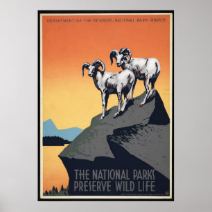 Vintages Nationalpark Bergtouristik-Poster Poster