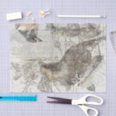 Vintages Natur-Collagen-Gewebe Seidenpapier (Handwerk)