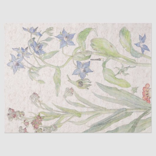 Vintages Nessel-Wildblume-Blumen-Seidenpapier Seidenpapier (Vorderseite)