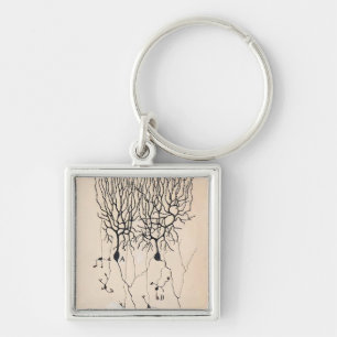 Vintages Neuron Zeichnend von Santiago Ramón y Ca Schlüsselanhänger