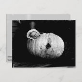 Vintages niedliches Baby in einer Kürbispostkarte Postkarte (Vorne/Hinten)