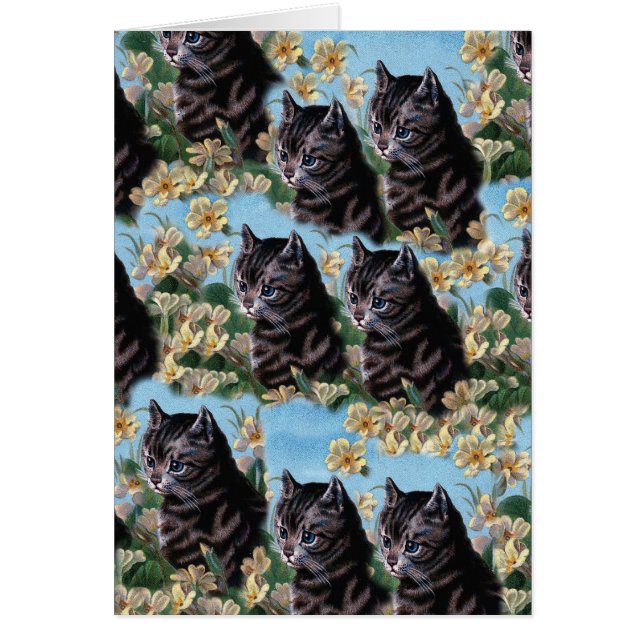 Vintages Niedliches Cat Kitten Animal Collpaper (Vorne)