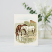 Vintages niedliches Pferd Postkarte (Stehend Vorderseite)