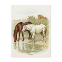 Vintages niedliches Pferd