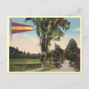 Vintages Norwegen Michigan Postkarte