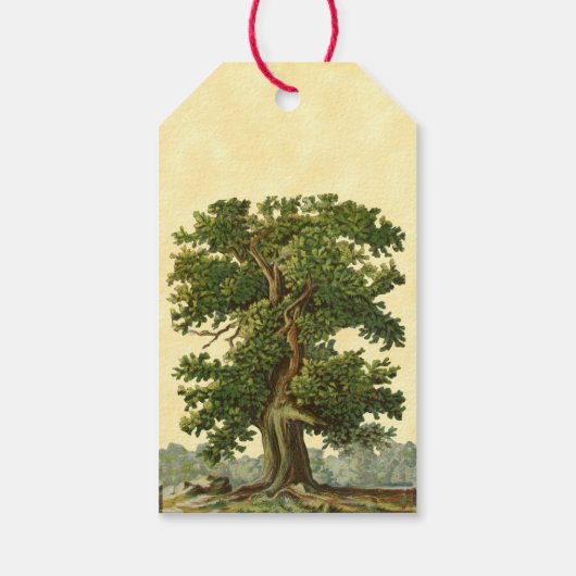 Vintages Oak Tree Buchzeichen Tag Geschenkanhänger (Rückseite)