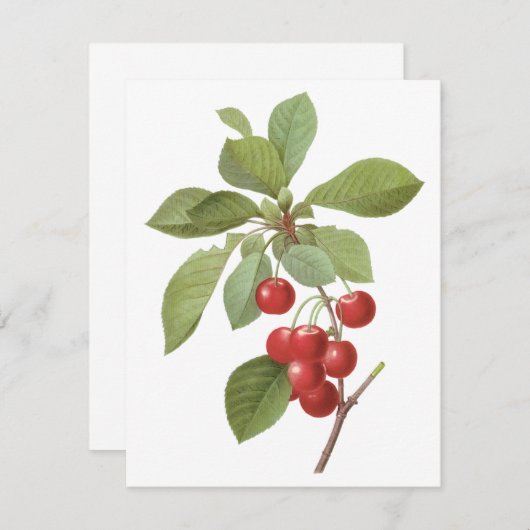 Vintages Obst, Kirschen von Redoute Einladung (Vorne/Hinten)