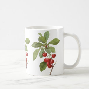 Vintages Obst Kirschkost, Kirschen von Redoute Kaffeetasse