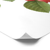 Vintages Obst Kirschkost, Kirschen von Redoute Poster (Ecke)