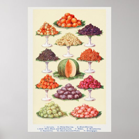 Vintages Obst Poster (Vorne)