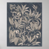 Vintages Obst und Gemüse I Poster (Vorne)