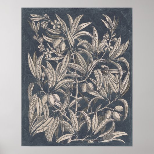 Vintages Obst und Gemüse I Poster (Vorne)