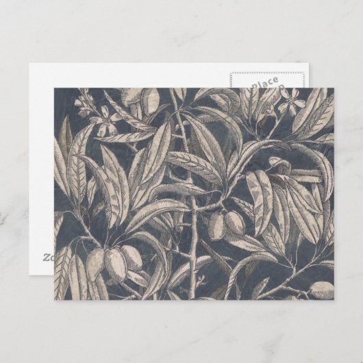 Vintages Obst und Gemüse I Postkarte (Vorne/Hinten)