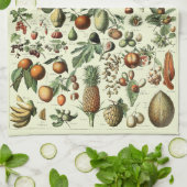Vintages Obst von Adolphe Millot Geschirrtuch (Gefaltet)