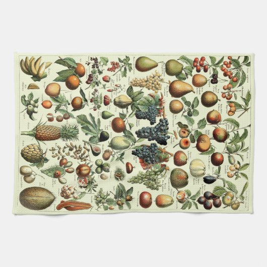 Vintages Obst von Adolphe Millot Geschirrtuch (Horizontal)