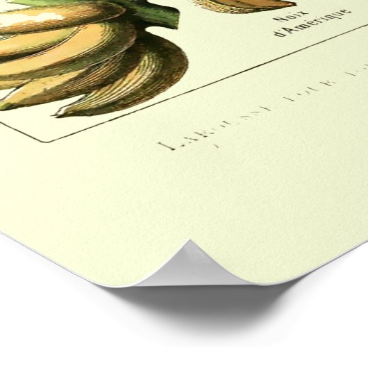 Vintages Obst von Adolphe Millot Poster (Ecke)