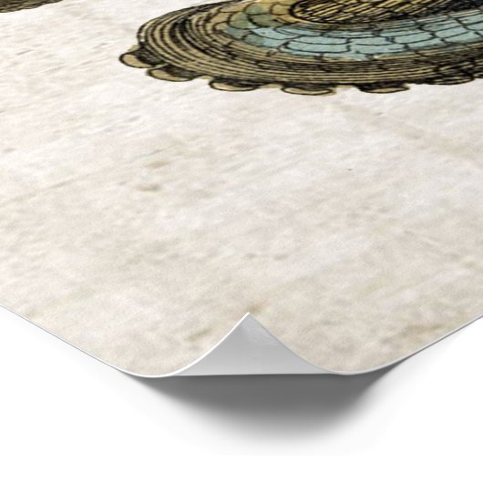 Vintages Octopus-Druckposter Poster (Ecke)