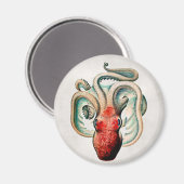 Vintages Octopus Magnet (Vorderseite/Rückseite)