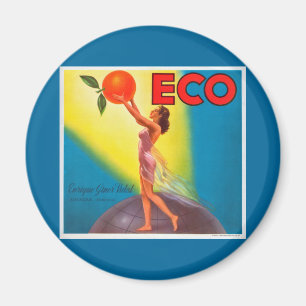 Vintages Öko-orange Aufkleber Magnet