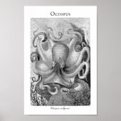 Vintages Oktopus individuell anpassbares Poster (Vorne)