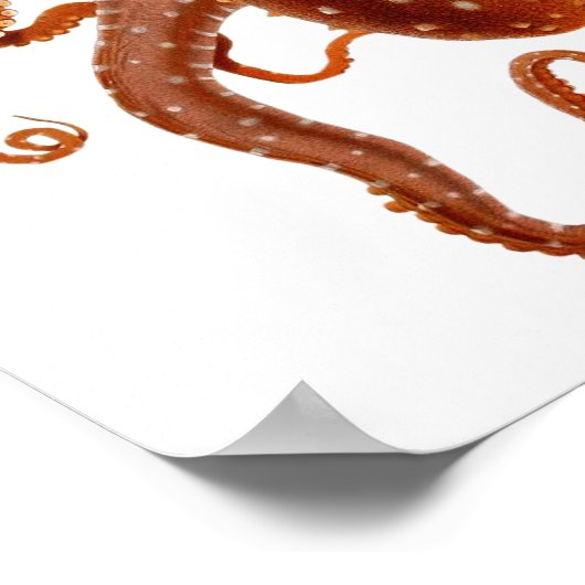 Vintages Oktopus-Poster Poster (Ecke)