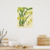 Vintages Oncidium Sessile Orchid Blume Poster (Küche)