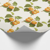 Vintages Orange Apricots Wasserfarbmuster Geschenkpapier (Ecke)