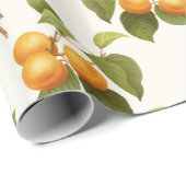 Vintages Orange Apricots Wasserfarbmuster Geschenkpapier (Rolleneckpunkt)