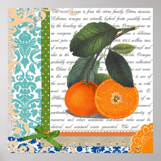 Vintages Orange Fruchtküchenkunst Poster (Vorne)