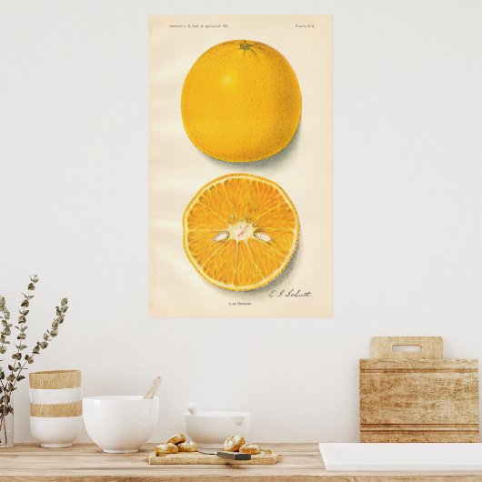 Vintages Orangenposter Poster (Küche)