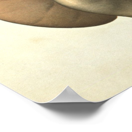 Vintages Organsystem Anatomie Poster (Ecke)