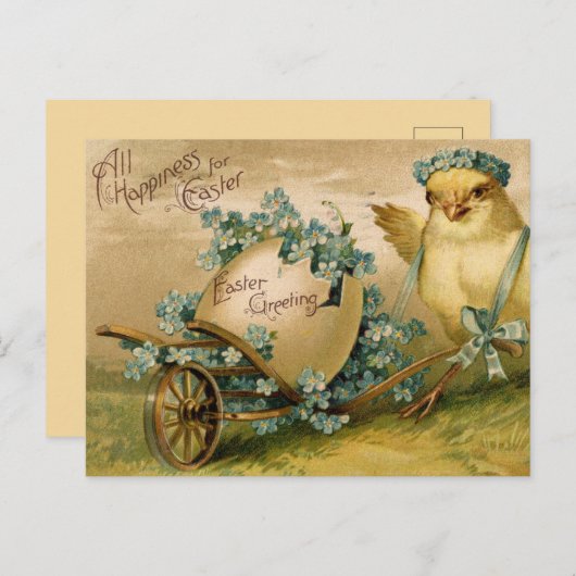 Vintages Osterküken mit gewolztem Ei Postkarte (Vorne/Hinten)