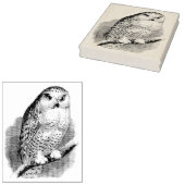 Vintages Owl auf Branchenkautschuk Briefmarke Gummistempel (Stempel)
