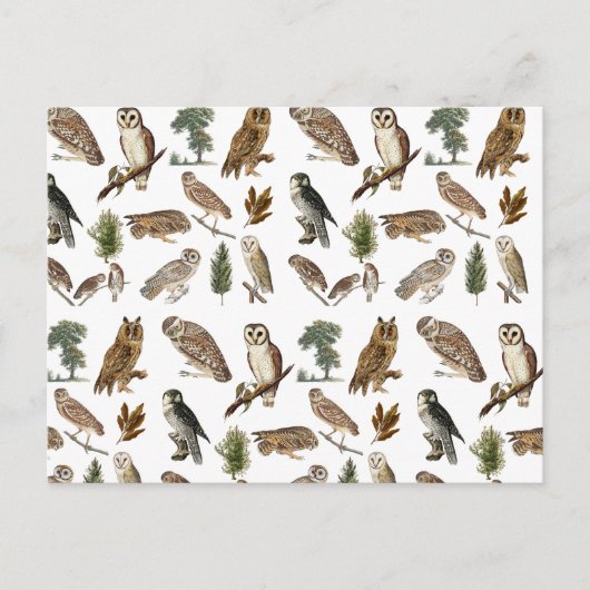 Vintages Owl Wasserfarbenwaldmuster Feiertagspostkarte (Vorderseite)