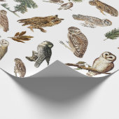 Vintages Owl Wasserfarbenwaldmuster Geschenkpapier (Ecke)