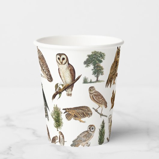 Vintages Owl Wasserfarbenwaldmuster Pappbecher (Vorderseite)