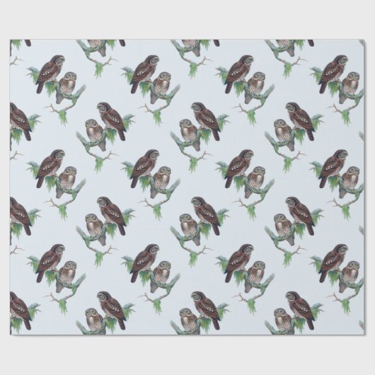 Vintages Owl Wrapper Geschenkpapier (Flach)